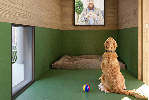 Cane sereno in uno degli alloggi del Relais