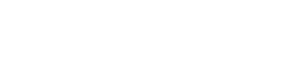 logo Aeroitalia